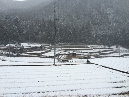 田舎の雪