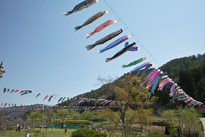 鯉のぼりの風景