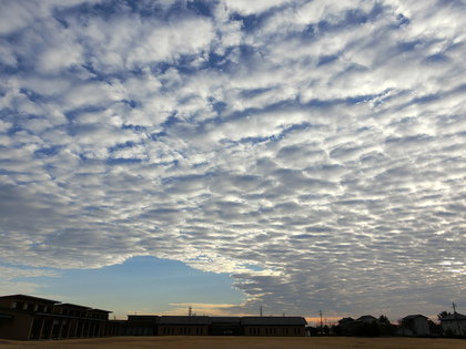 いわし雲