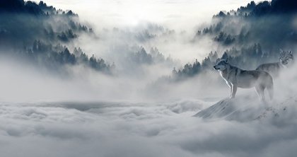 雪かすむ風景