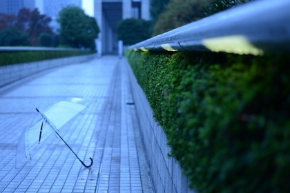 雨の日の風景