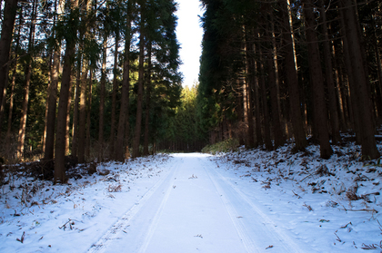 雪山