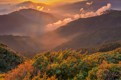 秋山