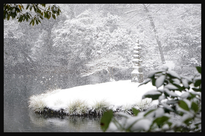 真っ白な雪景色