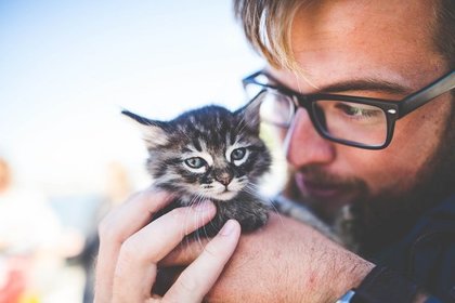 可愛い子猫を愛でる男性