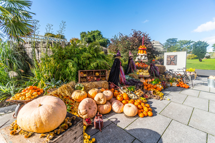 アイルランドのハロウィン