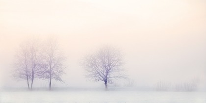 冬の景色