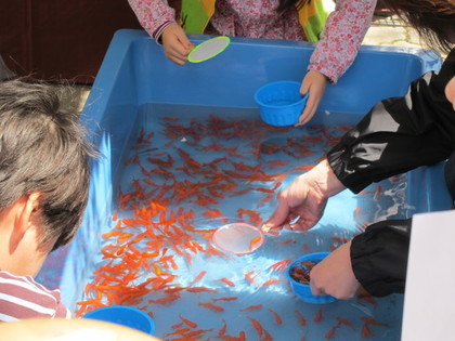 金魚すくいを楽しむ人