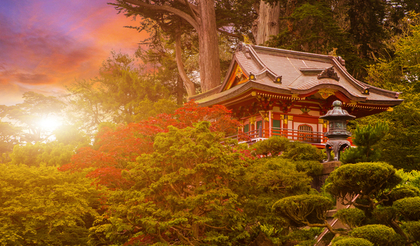 新年のお参り