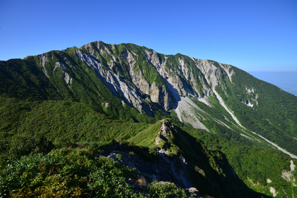 ニュージーランド風景