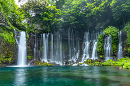 希少な風景