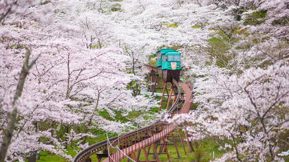 春の美しい景色